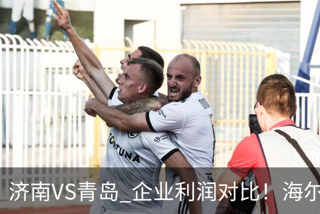 济南VS青岛 企业利润对比！海尔一家赚196亿，济南靠谁撑场？