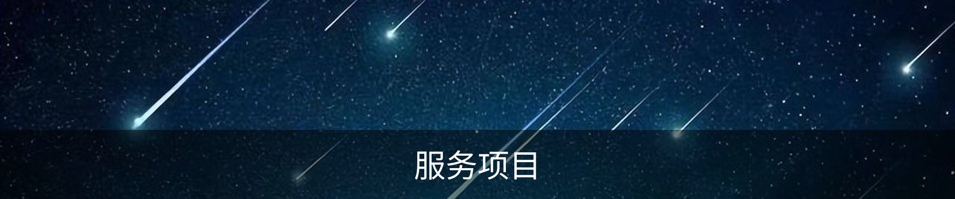 服务项目