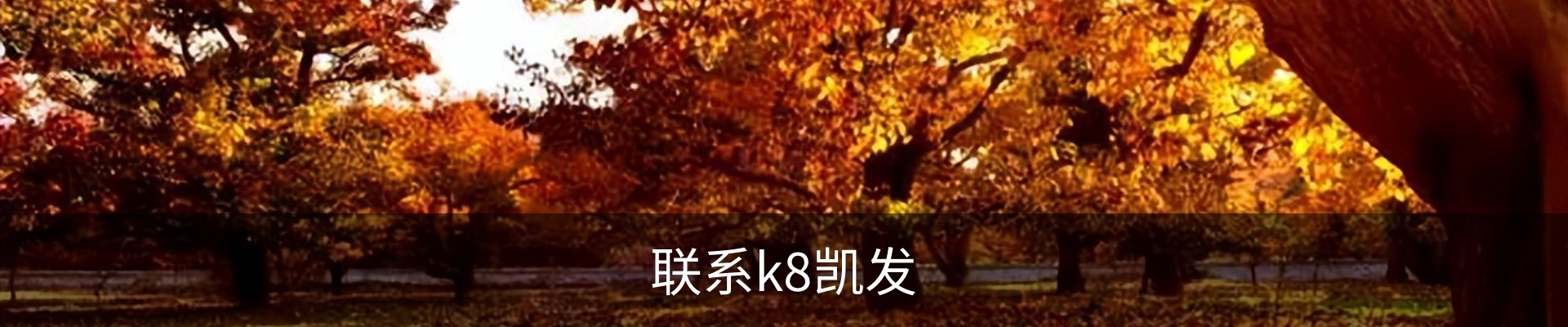 联系k8凯发